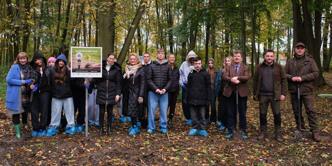 Elektryczny Las wyrósł w Malborku – nagroda za 20 ton elektroodpadów