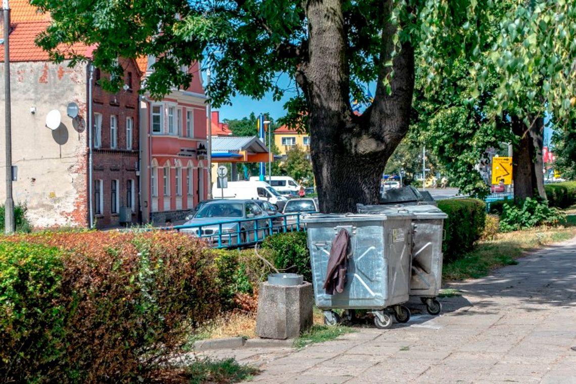 Galeria śmietników