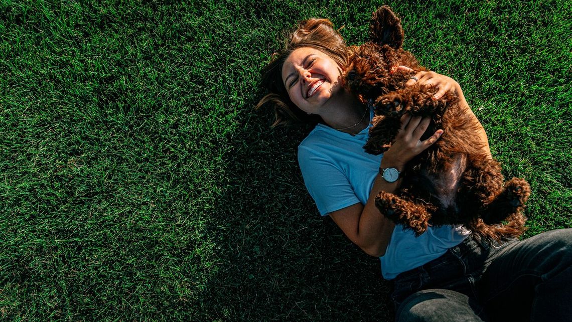 Gorące lato, wakacje i czworonożni przyjaciele – jak dbać o psa podczas upałów? Gorące lato, wakacje i czworonożni przyjaciele – jak dbać o psa podczas upałów?