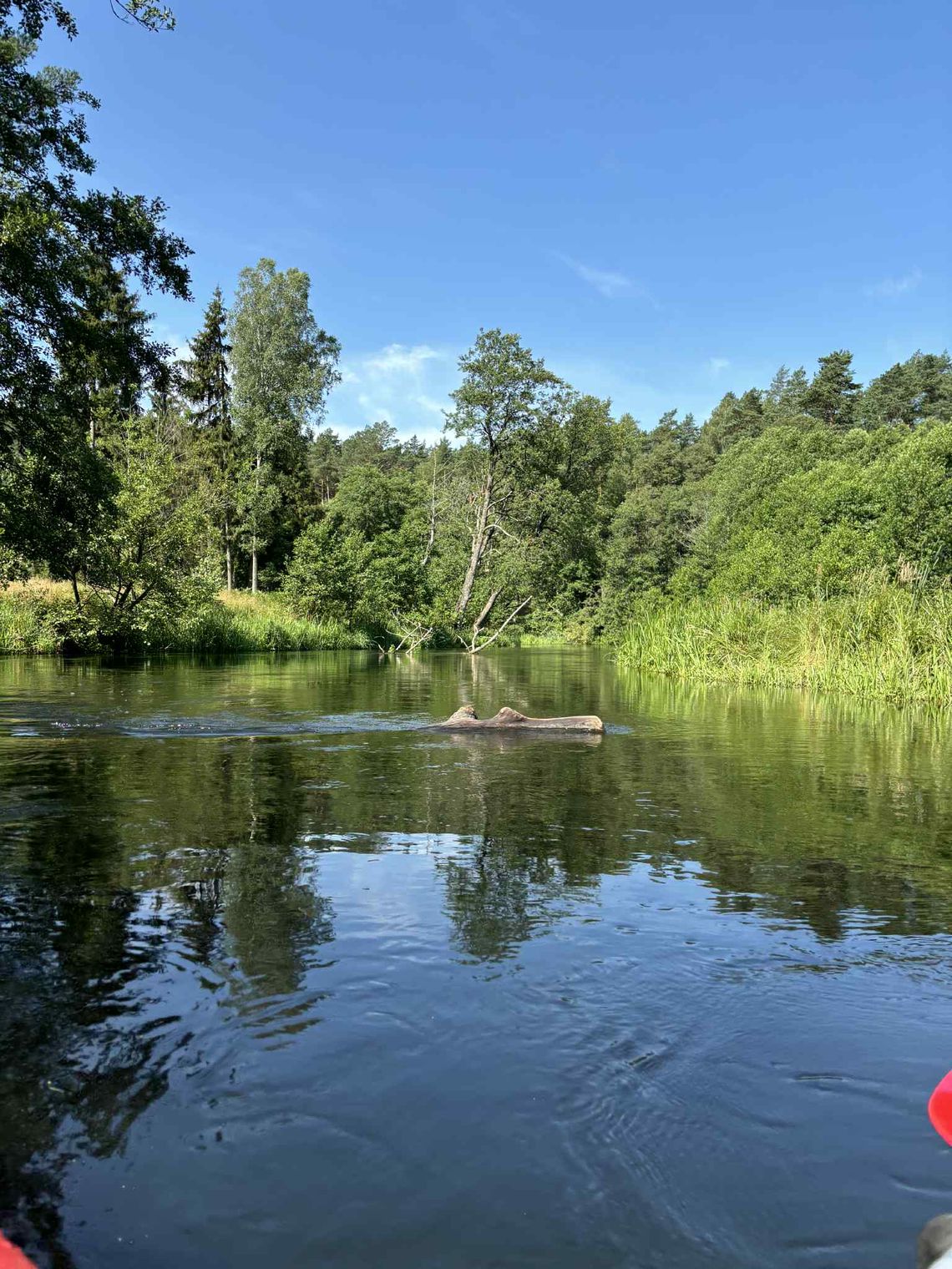 Jak spędzić wakacje niskim kosztem - 7 pomysłów dla rodzin z Kociewia i okolic Jak spędzić wakacje niskim kosztem - 7 pomysłów dla rodzin z Kociewia i okolic