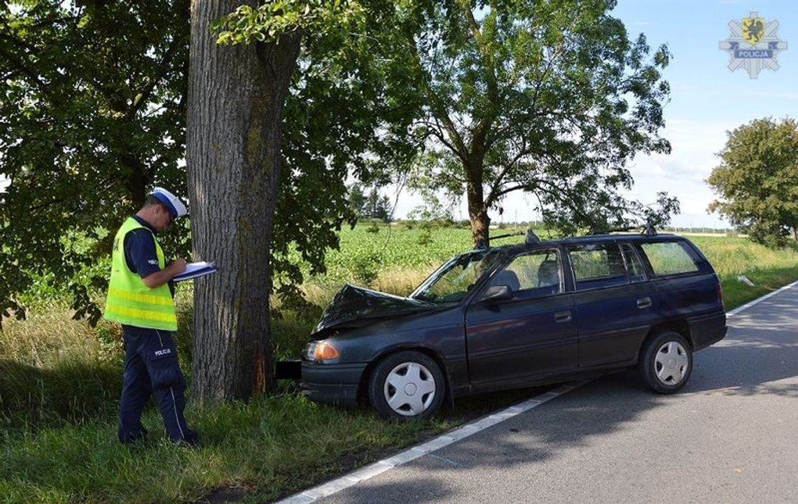 Kierowca uderzył w drzewo