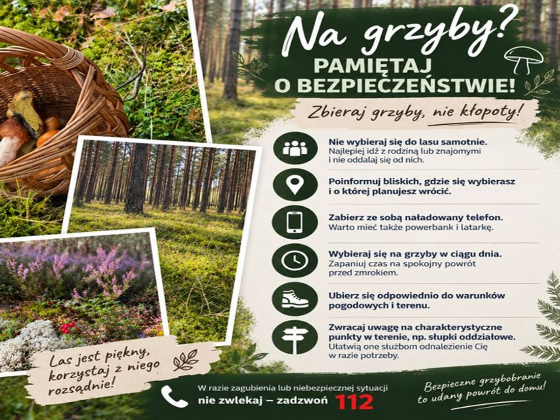Las potrafi zmylić nawet doświadczonych. Policja przypomina grzybiarzom o bezpieczeństwie Las potrafi zmylić nawet doświadczonych. Policja przypomina grzybiarzom o bezpieczeństwie