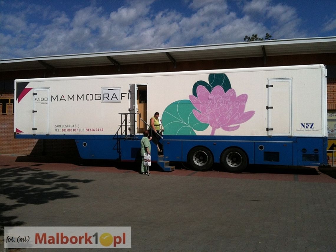 Mammobus 6 marca