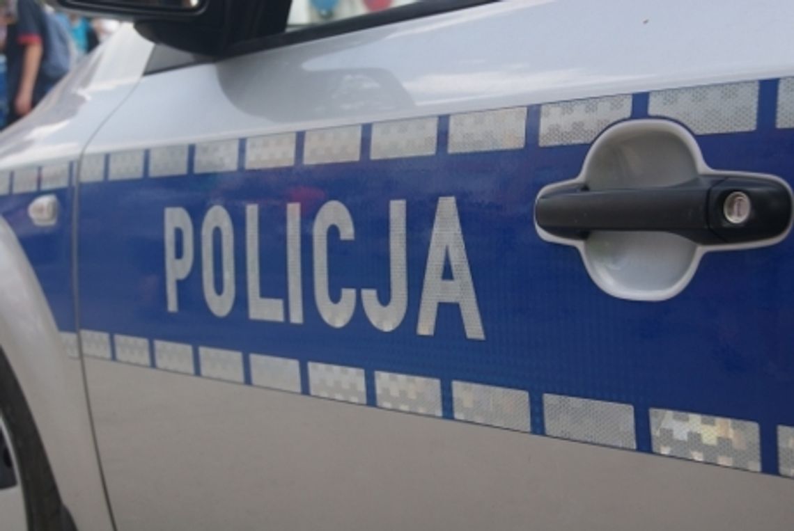 Policjanci kontrolują ciężarówki