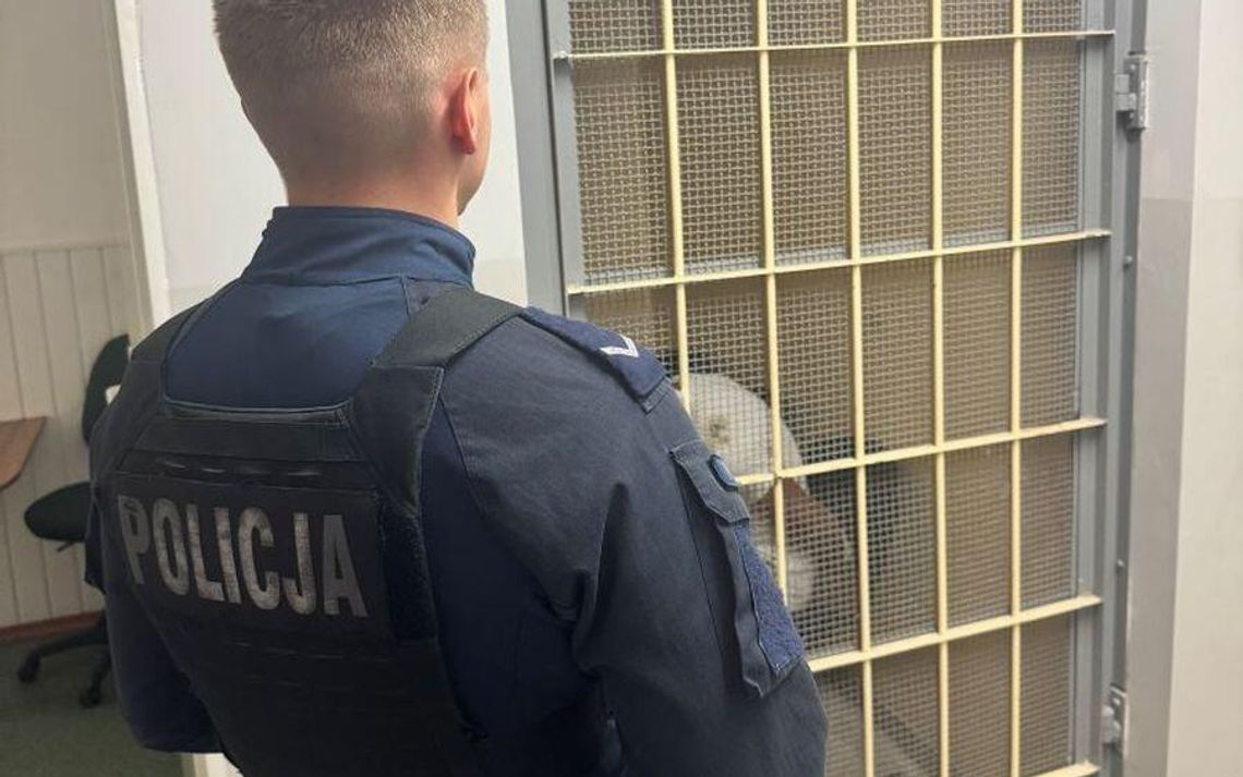 Policyjny pościg zakończony zatrzymaniem. Kierowca Audi miał na sumieniu znacznie więcej niż ucieczkę Policyjny pościg zakończony zatrzymaniem. Kierowca Audi miał na sumieniu znacznie więcej niż ucieczkę
