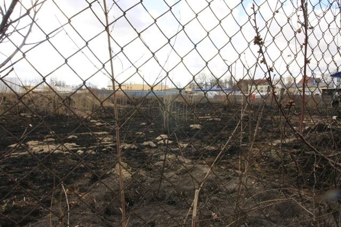 Pożar u sąsiadów, straty w ogrodzie