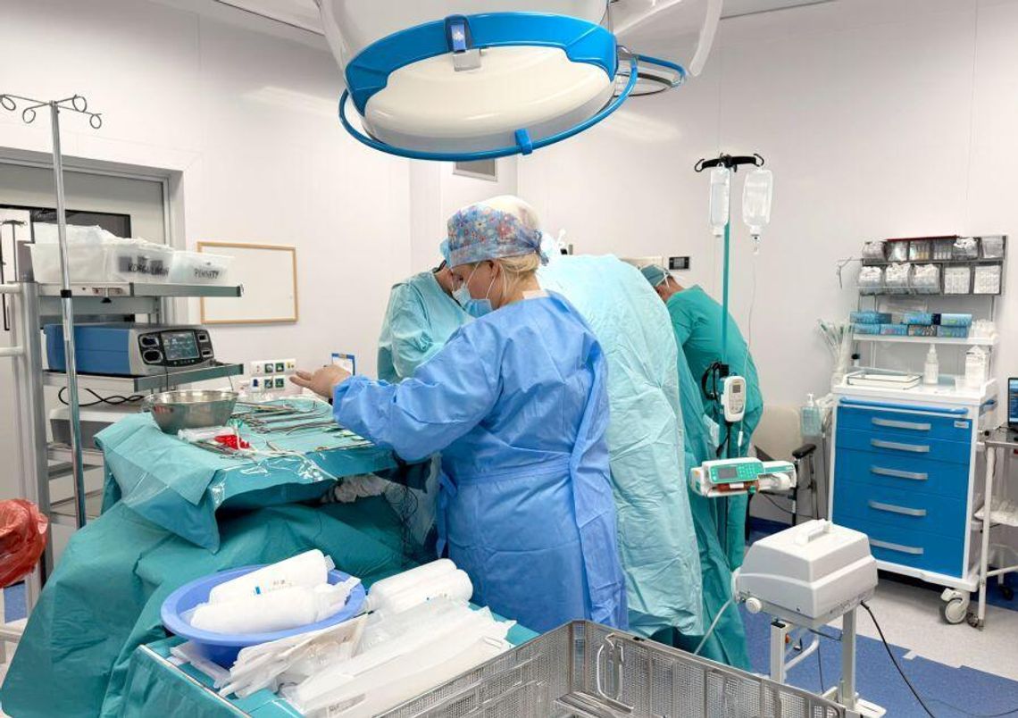 Przeprowadzono pierwsze transplantacje w tym roku Przeprowadzono pierwsze transplantacje w tym roku
