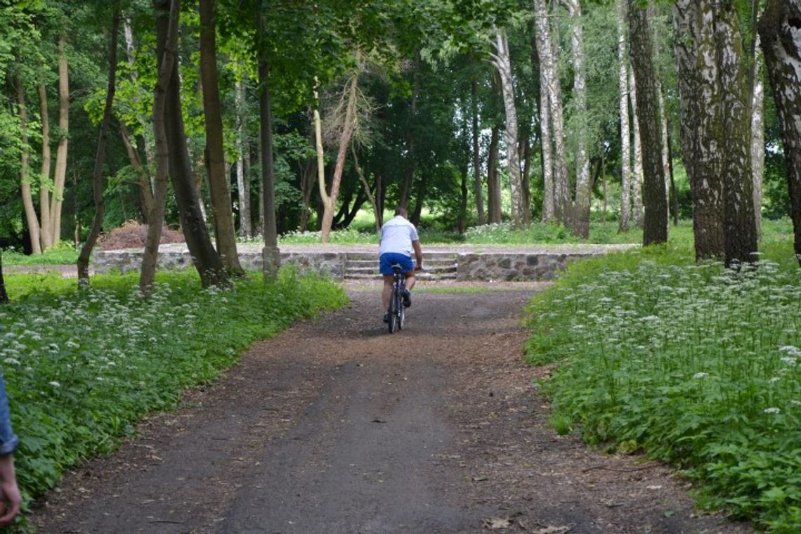 Są pieniądze na malborski park