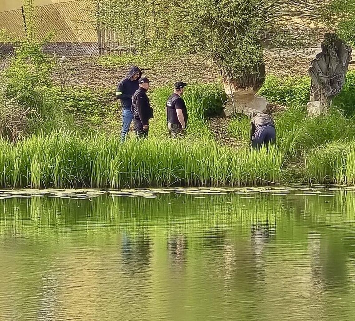 Skontrolowano kilkadziesiąt łowisk ryb. Wykryto nielegalne połowy Skontrolowano kilkadziesiąt łowisk ryb. Wykryto nielegalne połowy