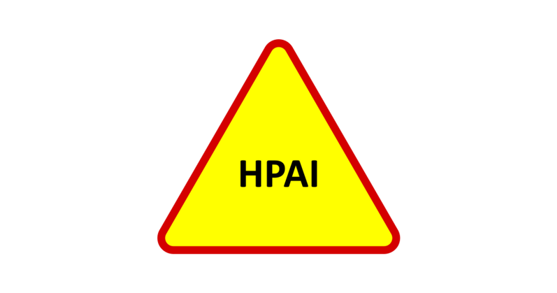 Stare Pole uznane za obszar zapowietrzony wysoce zjadliwą grypą ptaków (HPAI)