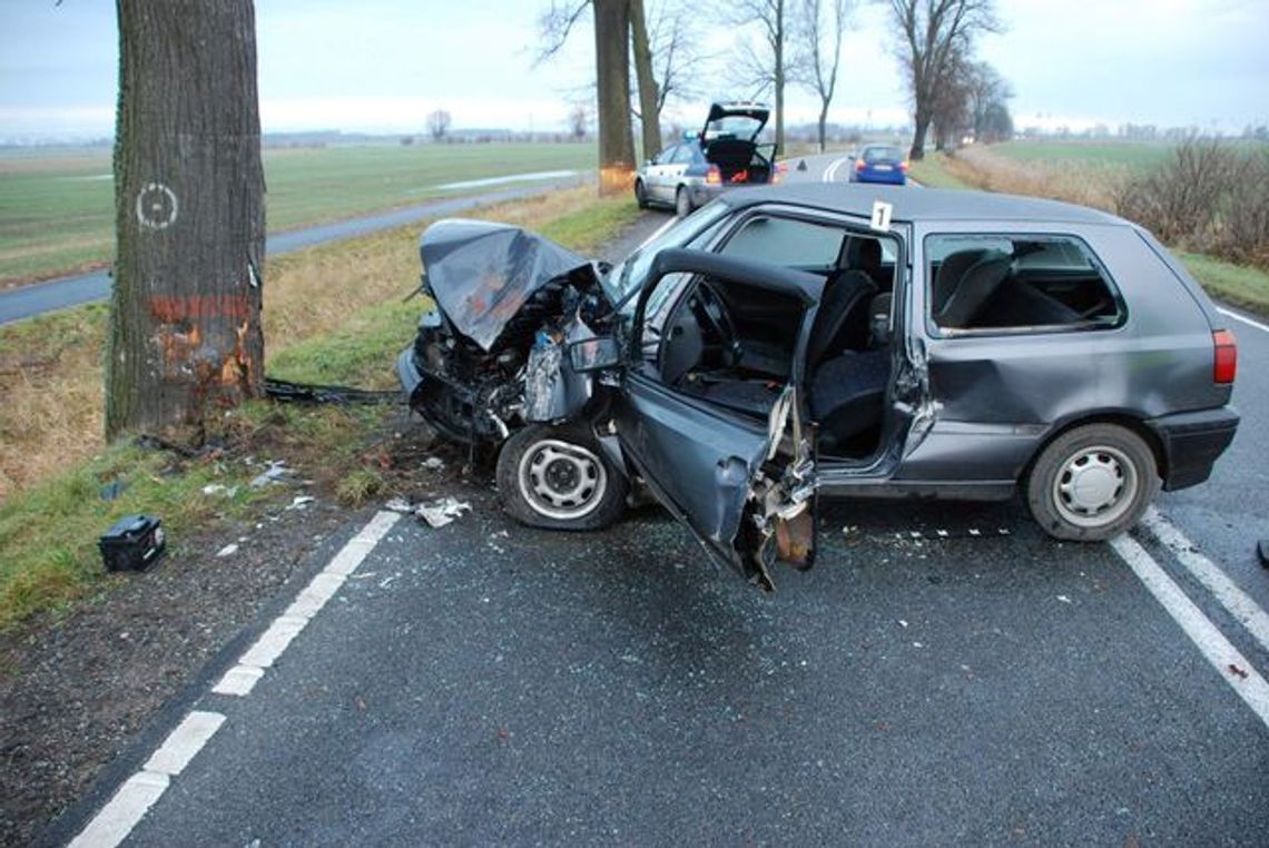 Stracił panowanie i zatrzymał się na drzewie