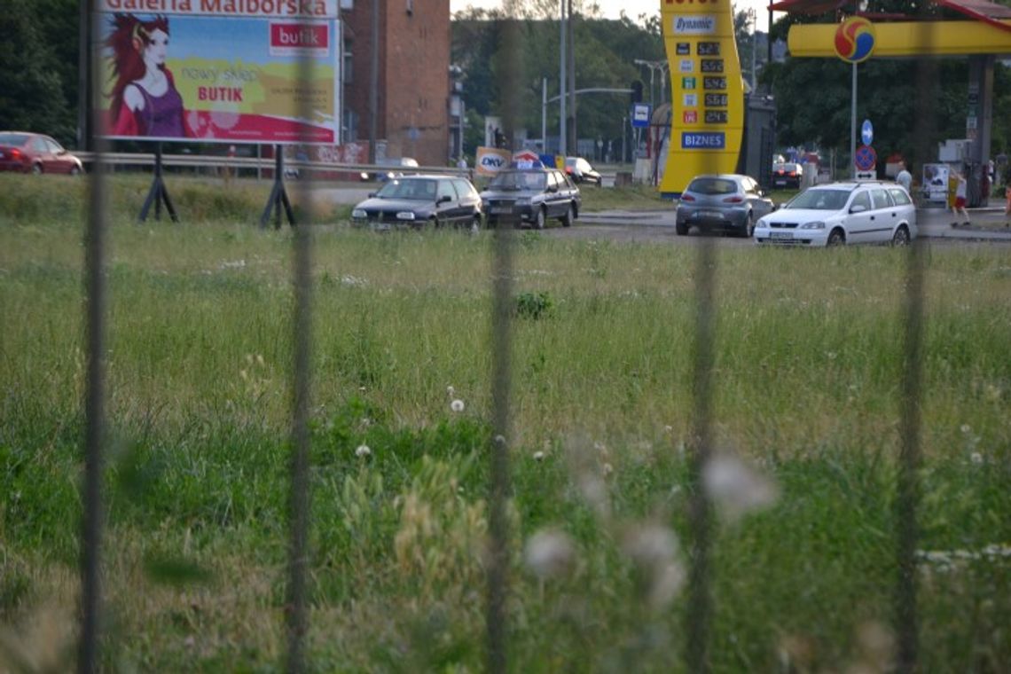 Sukces wciąż w polu