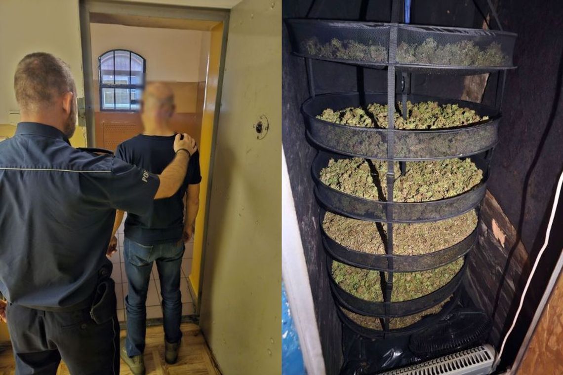 W domu 51-latka z Ryjewa policja znalazła znaczne ilości narkotyków