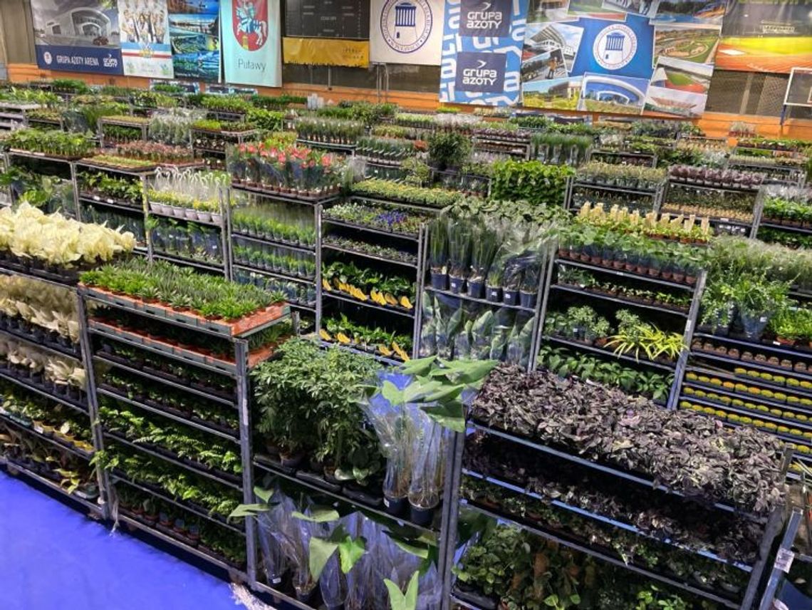 Wiosenna edycja Festiwalu Roślin w Gdańsku! Wiosenna edycja Festiwalu Roślin w Gdańsku!