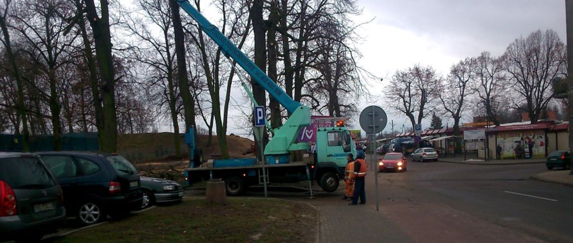 Wycinka drzew przy targowisku zbulwersowała mieszkańców