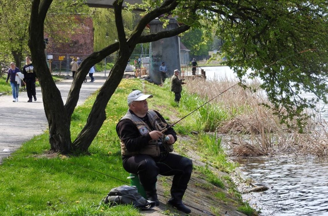 Zawody o puchar burmistrza