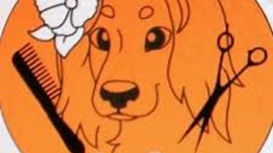 Psi fryzjer Opole - La Lunia Salon Groomerski