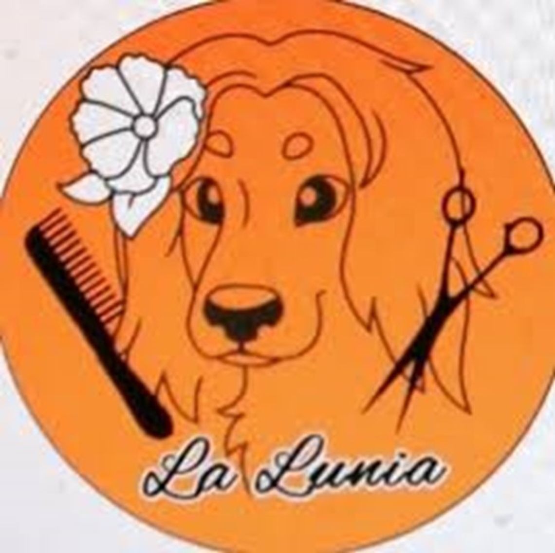 Psi fryzjer Opole - La Lunia Salon Groomerski Psi fryzjer Opole - La Lunia Salon Groomerski