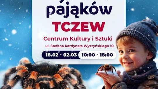 18.02 - 02.03 2025 - Wystawa pająków i skorpionów - Tczew