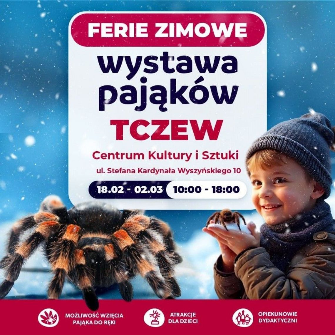 18.02 - 02.03 2025 - Wystawa pająków i skorpionów - Tczew